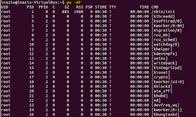 Salida del programa en terminal